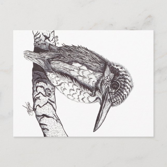 CARTÃO POSTAL DE FESTIVIDADES KINGFISHER (Frente)