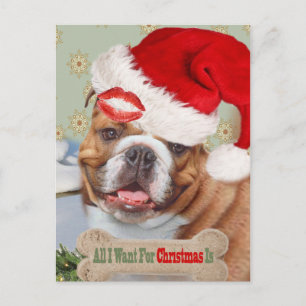 Cartão Postal De Festividades Kisses Inglês Buldogue Para O Natal