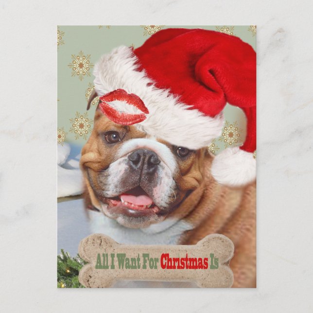 Cartão Postal De Festividades Kisses Inglês Buldogue Para O Natal (Frente)