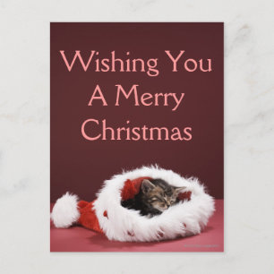 Cartão Postal De Festividades Kitten asleep in Christmas hat