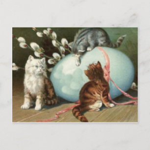 Cartão Postal De Festividades Kitten Cat Easter Colored Painted Egg