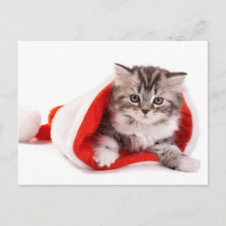 Cartão Postal De Festividades Kitten Em Um Chapéu De Papai Noel