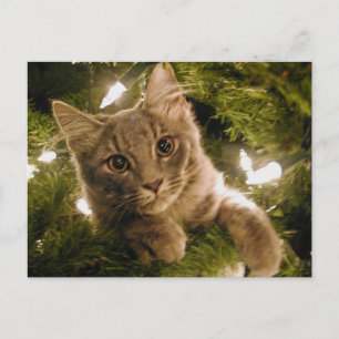 Cartão Postal De Festividades Kitten na Árvore de Natal - Personalizável