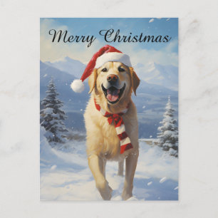 Cartão Postal De Festividades Labrador Christmas