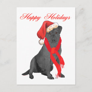 Cartão Postal De Festividades Labrador Retriever Preto de Natal