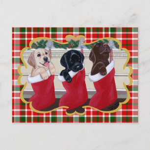 Cartão Postal De Festividades Labrador Retriever Puppies Natal Tartan