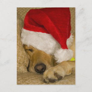 Cartão Postal De Festividades Labrador wearing a red holiday Santa hat