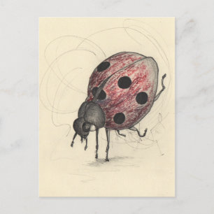 Cartão Postal De Festividades Ladybug não sabe dançar