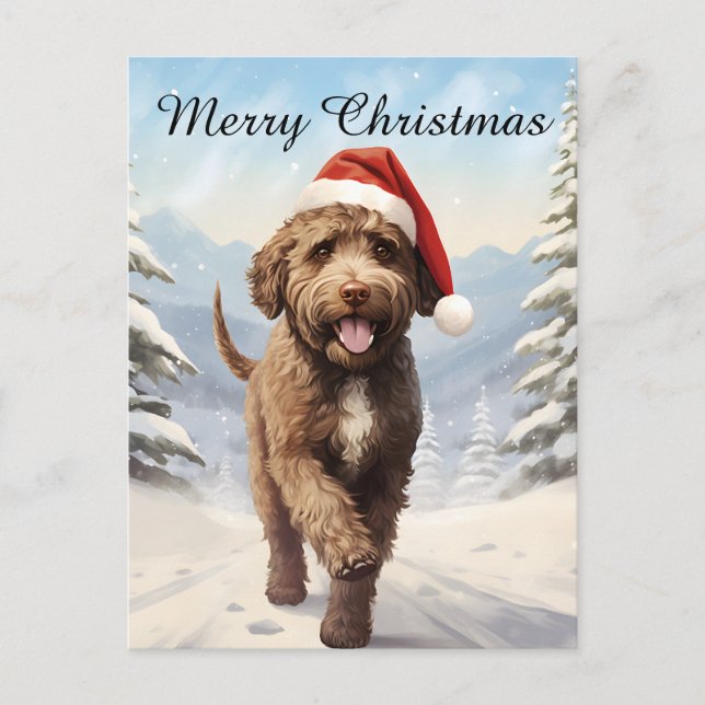 Cartão Postal De Festividades Lagotto Romagnolo Natal (Frente)