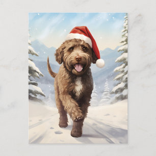 Cartão Postal De Festividades Lagotto Romagnolo Natal
