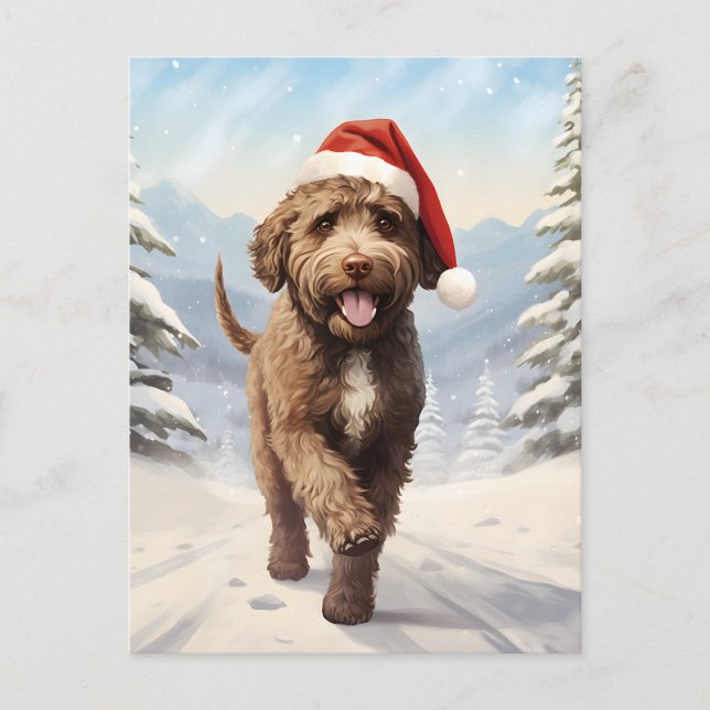 Cartão Postal De Festividades Lagotto Romagnolo Natal (Frente)