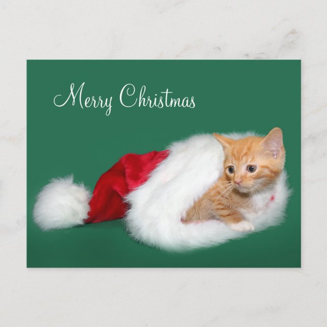 Cartão Postal De Festividades Laranja com Santa hat (Frente)
