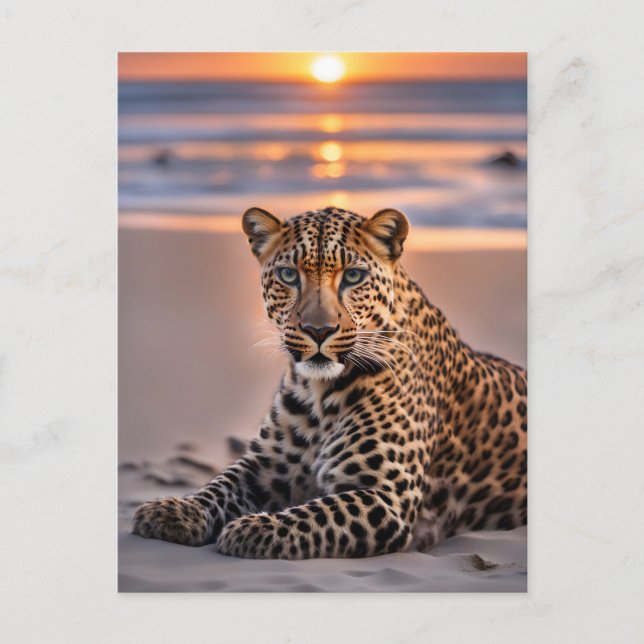 Cartão Postal De Festividades Leopardo na praia (Frente)