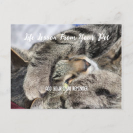 Cartão Postal De Festividades Lição personalizada de vida dos animais de companh