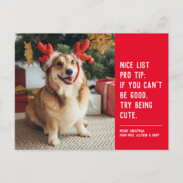 Cartão Postal De Festividades Linda e engraçada foto de Natal de cachorro vermel