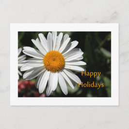 Cartão Postal De Festividades Linda flor branca margarida feliz feriados florais
