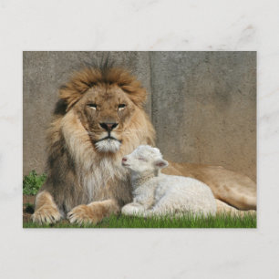 Cartão Postal De Festividades Lion and lamb Christmas
