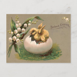 Cartão Postal De Festividades Lírio Do Vale Ovo De Páscoa De Pintinho