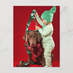 Cartão Postal De Festividades Little boy decorating a dog