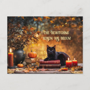 Cartão Postal De Festividades Livros de Magia de Gato Negra Brincando no Dia das
