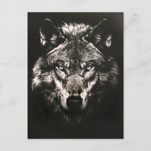Cartão Postal De Festividades Lobo Selvagem Monocromático Majestoso
