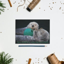 Cartão Postal De Festividades Lontras Totalmente Incríveis