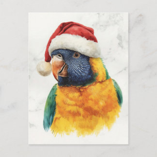 Cartão Postal De Festividades Lorikeet Arco-Íris de Chapéu de Papai Noel Aquarel