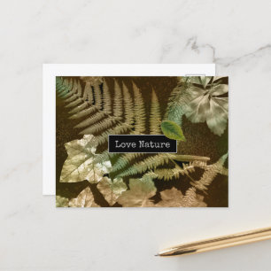 Cartão Postal De Festividades Love Nature Ferny Leaf Impressão