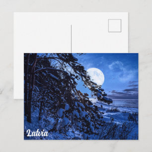 Cartão Postal De Festividades Lua sobre abetos de neve e costa marítima à noite