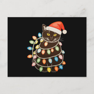 Cartão Postal De Festividades Luzes de árvore de Natal de gato preto chapéu de P