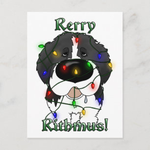 Cartão Postal De Festividades Luzes de Natal da Terra Nova