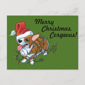 Cartão Postal De Festividades Luzes do Xmas do Natal do filhote de cachorro do