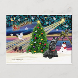 Cartão Postal De Festividades MAGIA DE NATAL-Scottie2B