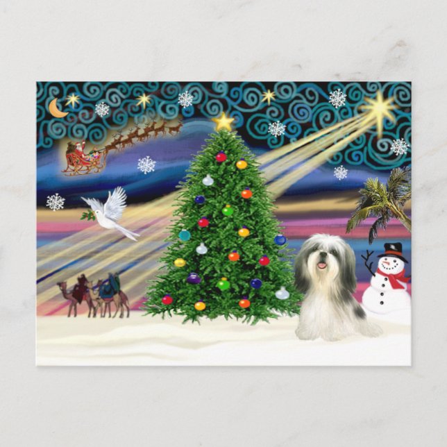 Cartão Postal De Festividades Magia de Natal Shih Tzu 4 (Frente)