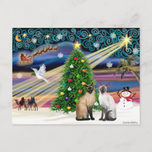 Cartão Postal De Festividades Magia do Natal - Dois gatos siazmeses (Selo + Coca