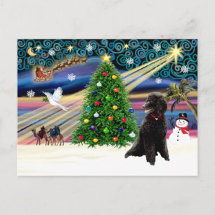 Cartão Postal De Festividades Magic-Poodle-Std-Black
