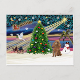 Cartão Postal De Festividades Magic-Poodle-Toy-Apricot Do Xmas