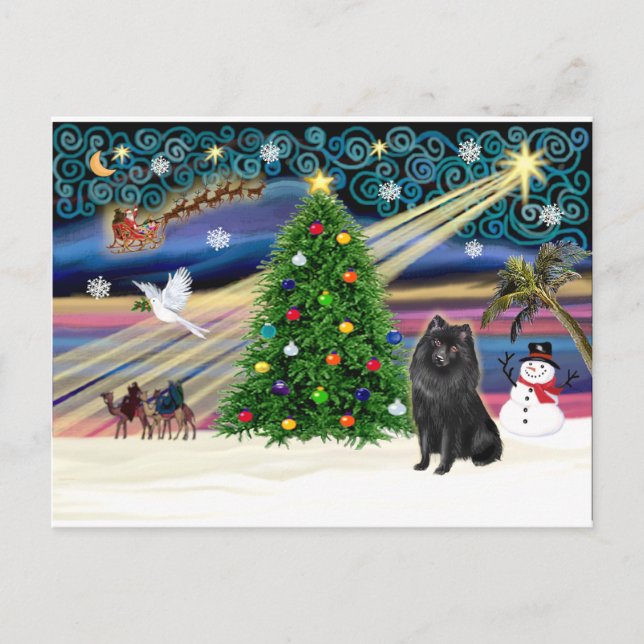 Cartão Postal De Festividades Magic-Schipperke do Natal (Frente)