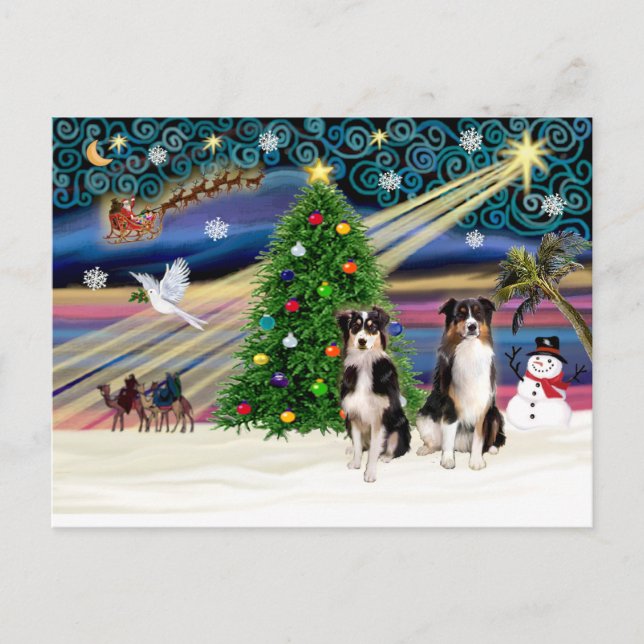 Cartão Postal De Festividades Magic-Tri-AussieShepPAIR-6-7 (Frente)