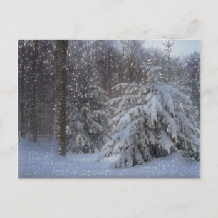 Cartão Postal De Festividades Magical Starry Christmas