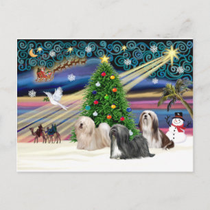 Cartão Postal De Festividades Mágico-Lhasa Apso-Trio