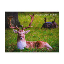 Majestade da Natureza no Parque Phoenix