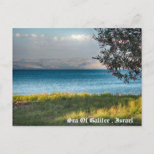 Cartão Postal De Festividades Mar Da Galileia, Israel