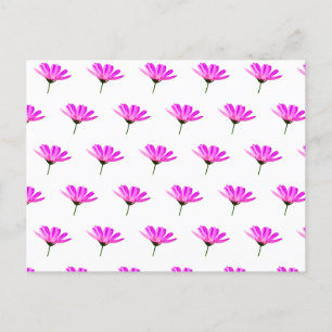 Cartão Postal De Festividades Margarida Rosa  