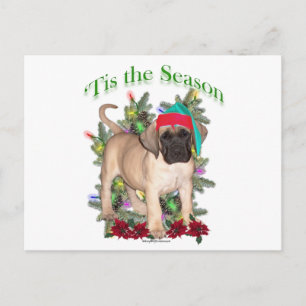 Cartão Postal De Festividades Mastiff 2 "Tis