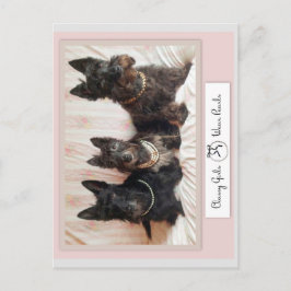 Cartão Postal De Festividades Meninas Elegantes Usam Colar de Pérolas Cartão Pos