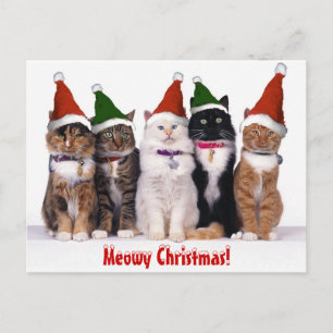 Cartão Postal De Festividades "Meowy Christmas!" Cats