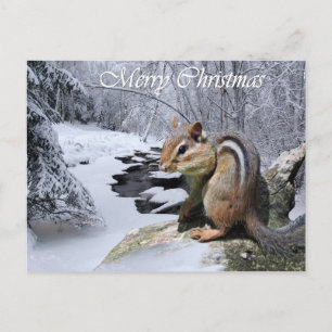 Cartão Postal De Festividades Merry Christmas Chipmunk Postcard
