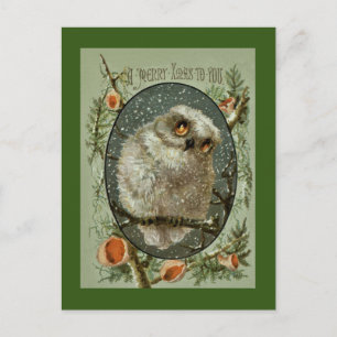 Cartão Postal De Festividades Merry Christmas Owl
