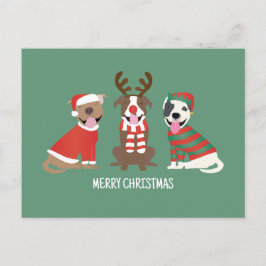 Cartão Postal De Festividades Merry Christmas Pit Bull Cães